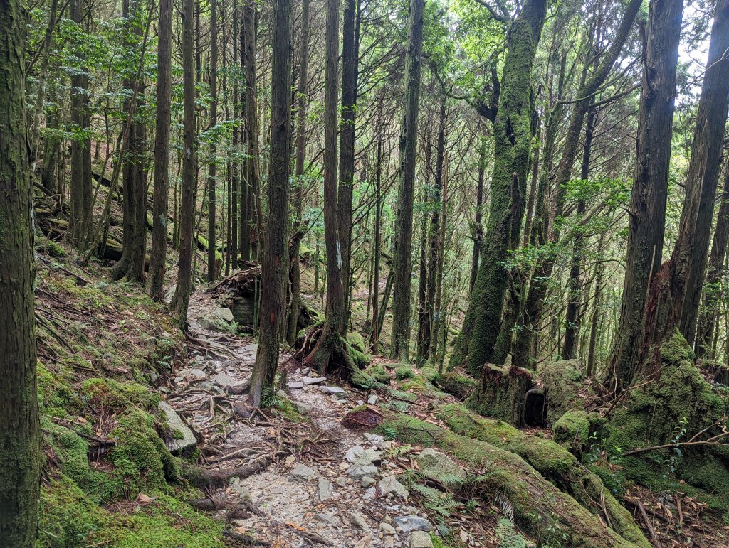 谷關七雄：八仙山_1744125