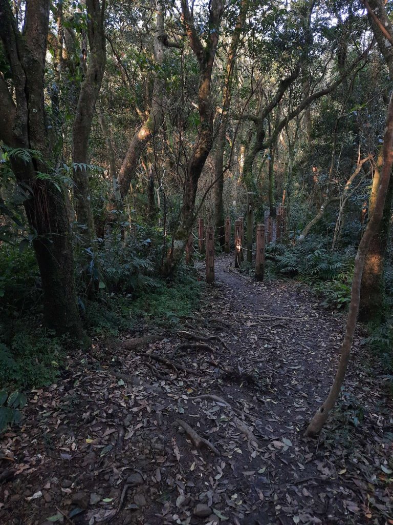 20230212 大崙頭尾山 (小百岳)，草莓園吃冰，白石湖_2028583