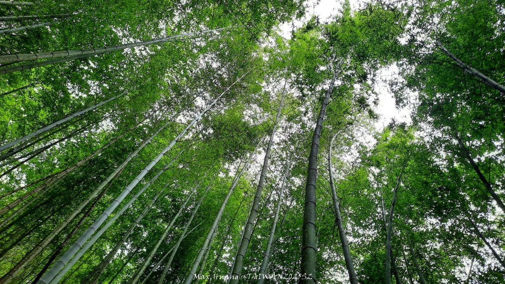 《雲林》望好望角｜石壁山嘉南雲峰步道(中側登山口）20250607_2805327