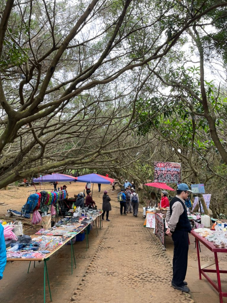[桃園龜山]楓樹坑步道_1200572