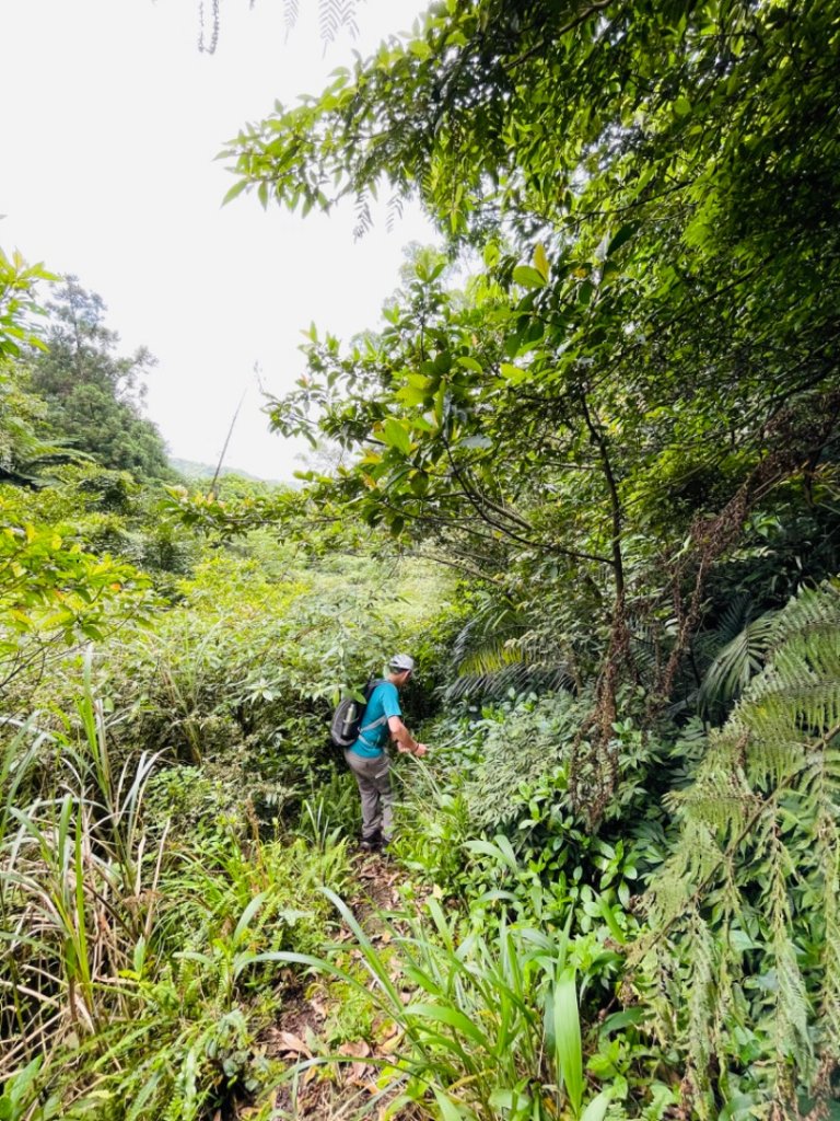 淡蘭中路（暖暖車站-十分車站）_1685449