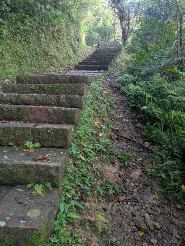 20251108桃源谷到草嶺古道大里天公廟封面圖