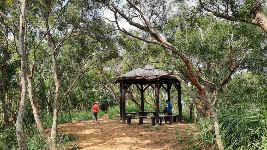 《台中》綠色隧道｜大肚環保公園登山步道O型20211016_1490181