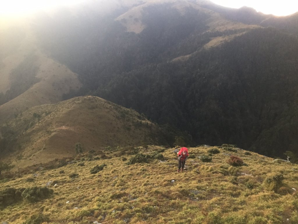 南二段八大秀_655545