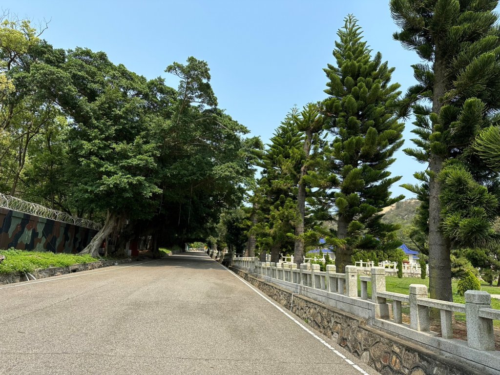 戰地聖山看毋忘在莒封面圖