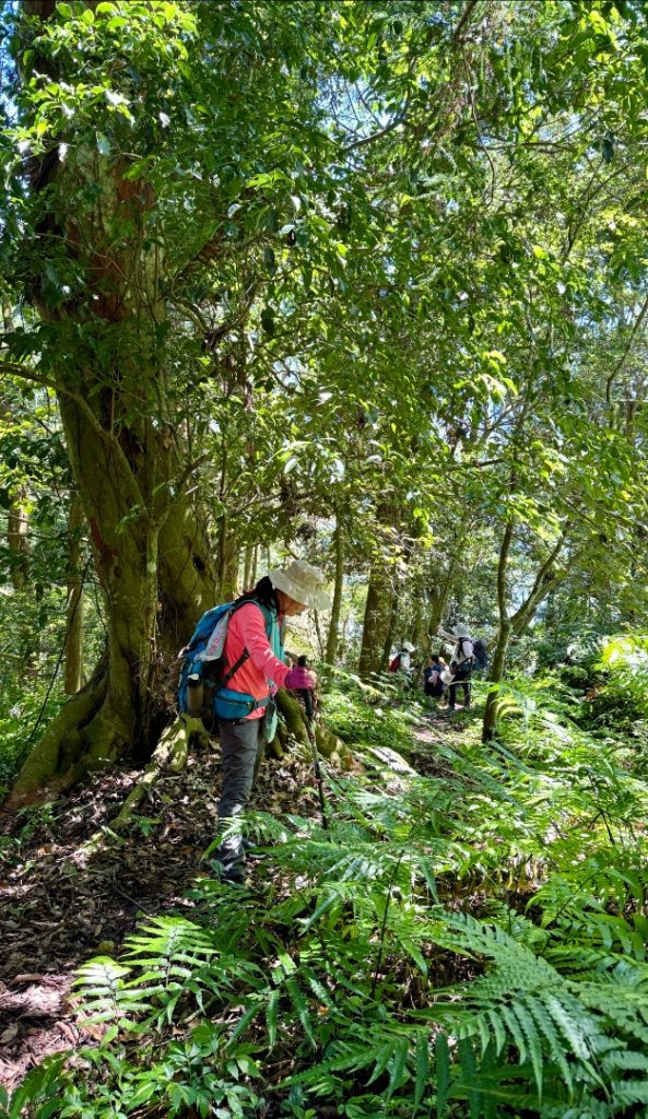 瞭望台-瓊山-望美山-獵人古道_2887772