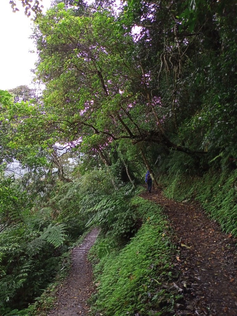 【山林美境尋寶石】內洞賞景步道、內洞林道_1124079