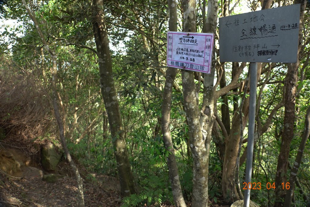 新竹 關西 石牛山_2115935