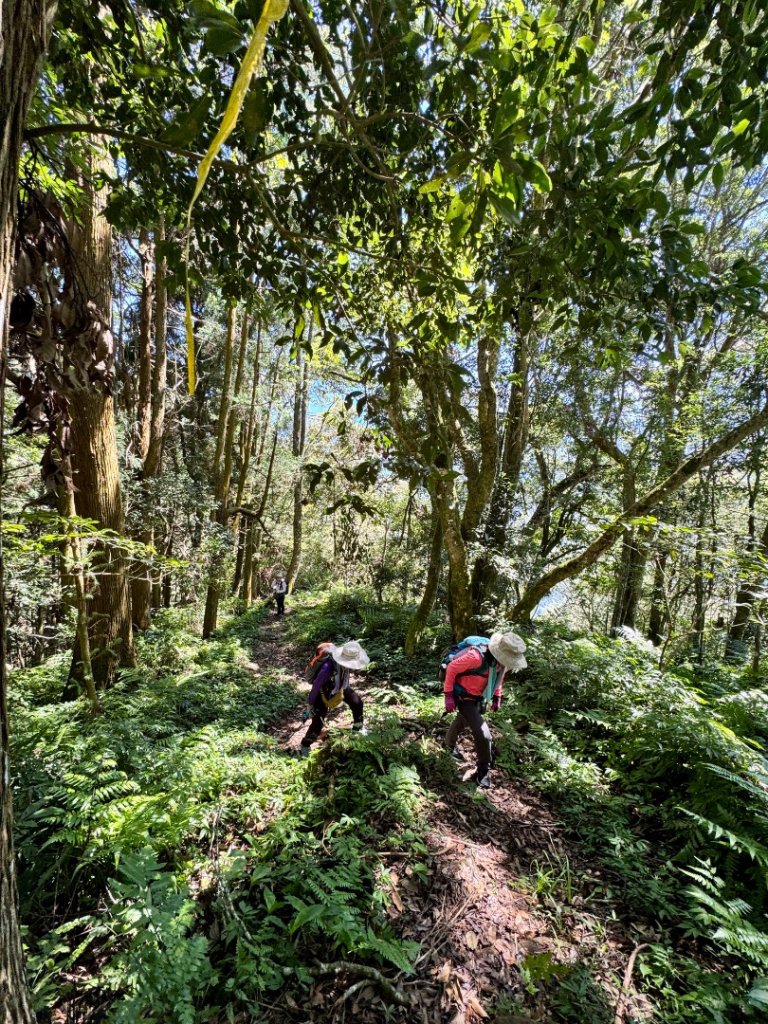 瞭望台-瓊山-望美山-獵人古道_2886868
