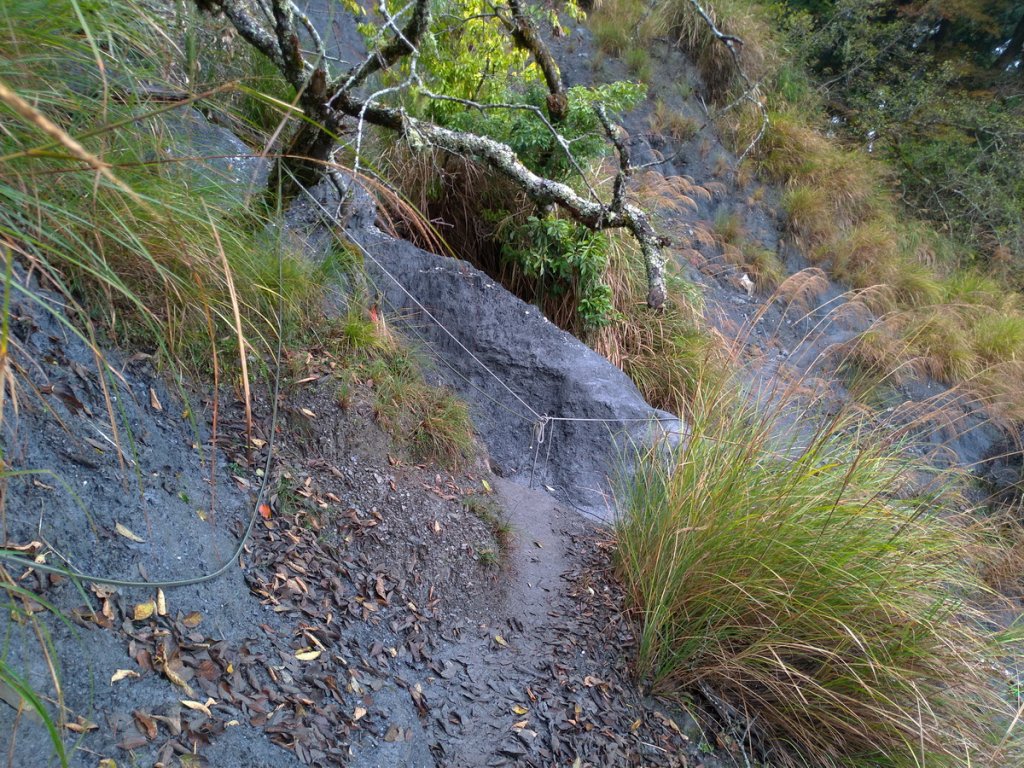 【花蓮縣秀林鄉】屏風山(單攻)_1231993