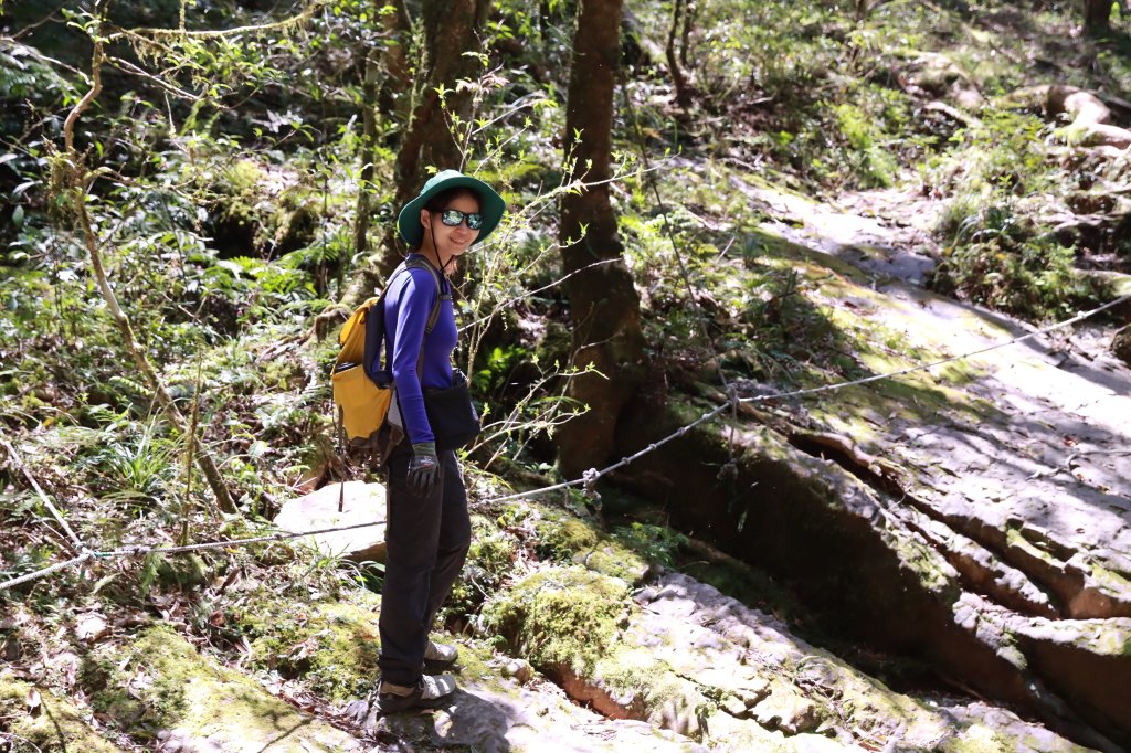 北插山腳散步之赫威神木群_2757677