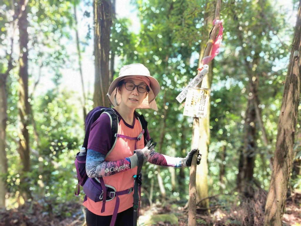 小東河上大龍山_2247130