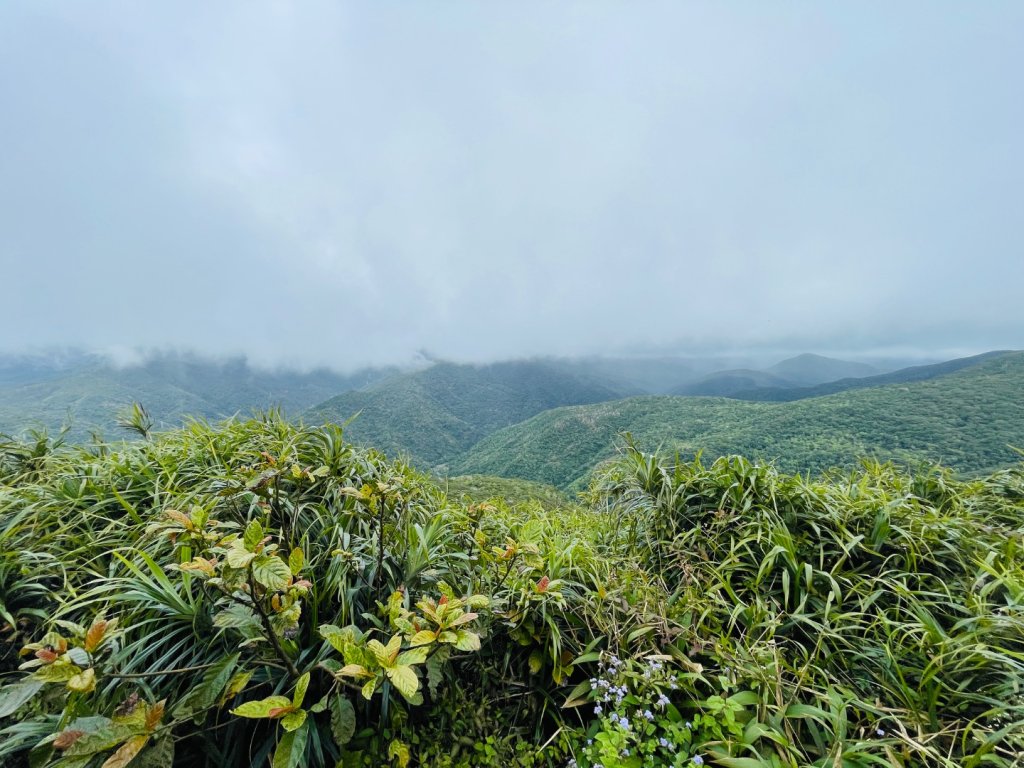 1150124帽子山。25落山風藝術季。_2987172