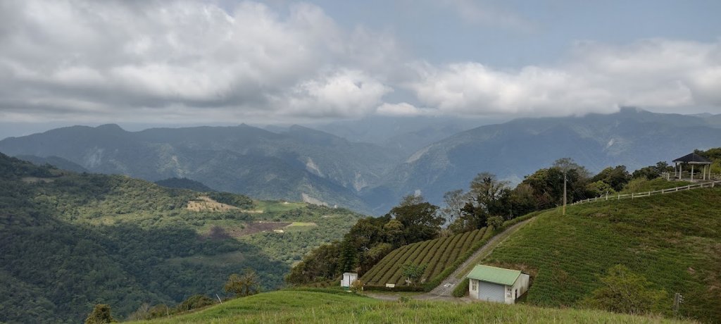 2023 4/10 太麻里山_2107779