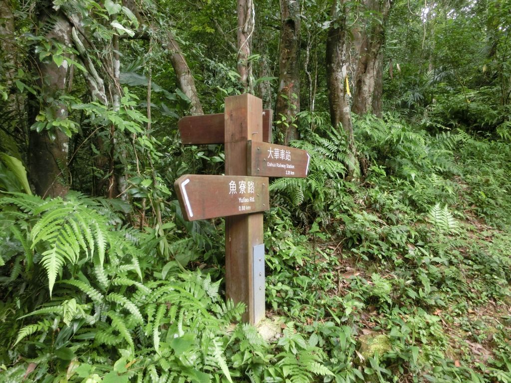 幼坑古道．大華壺穴_134381
