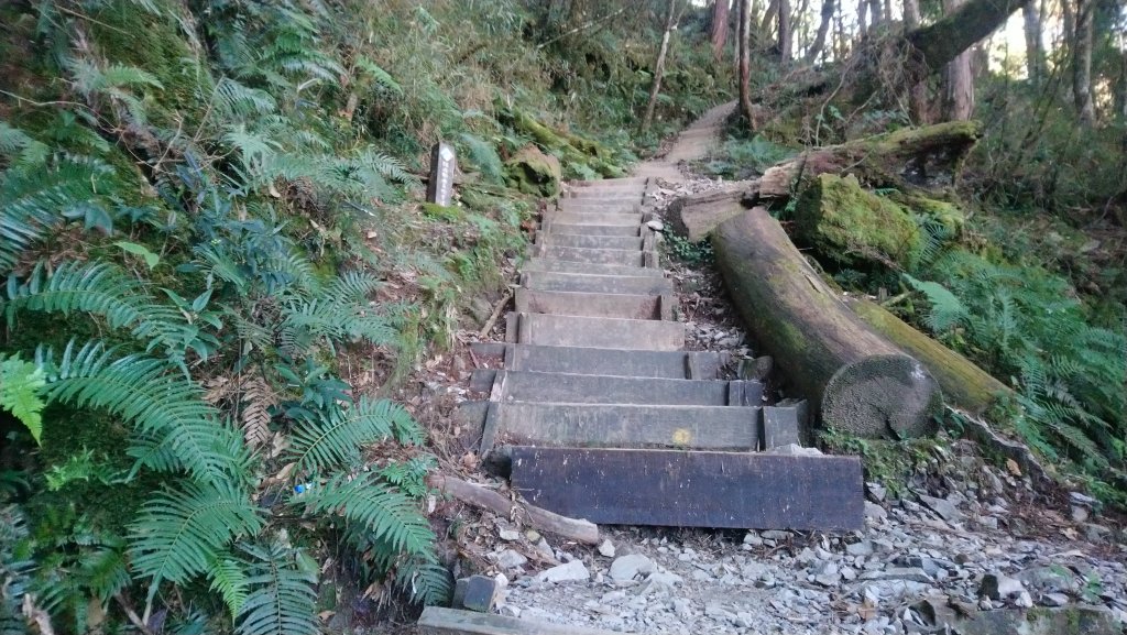 八仙山松鶴線_689852