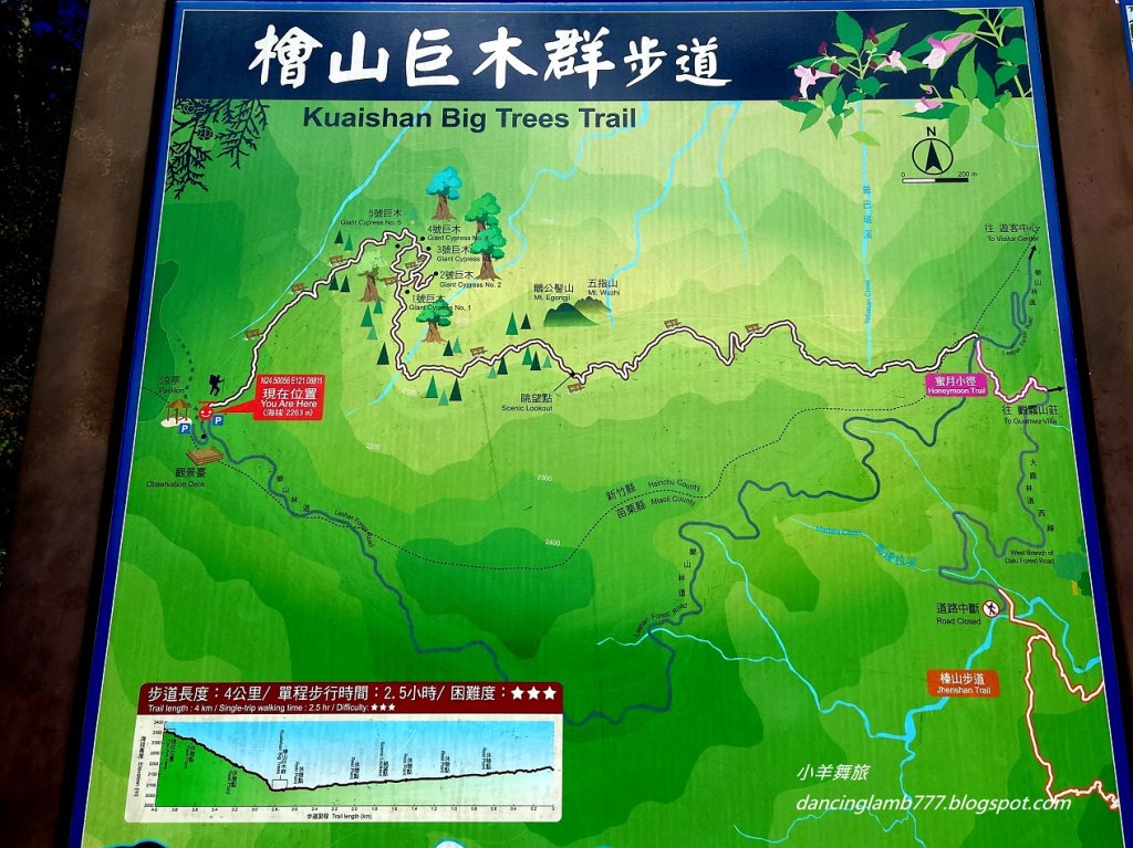 【新竹】觀霧森林遊樂區：檜山巨木群步道_2397401
