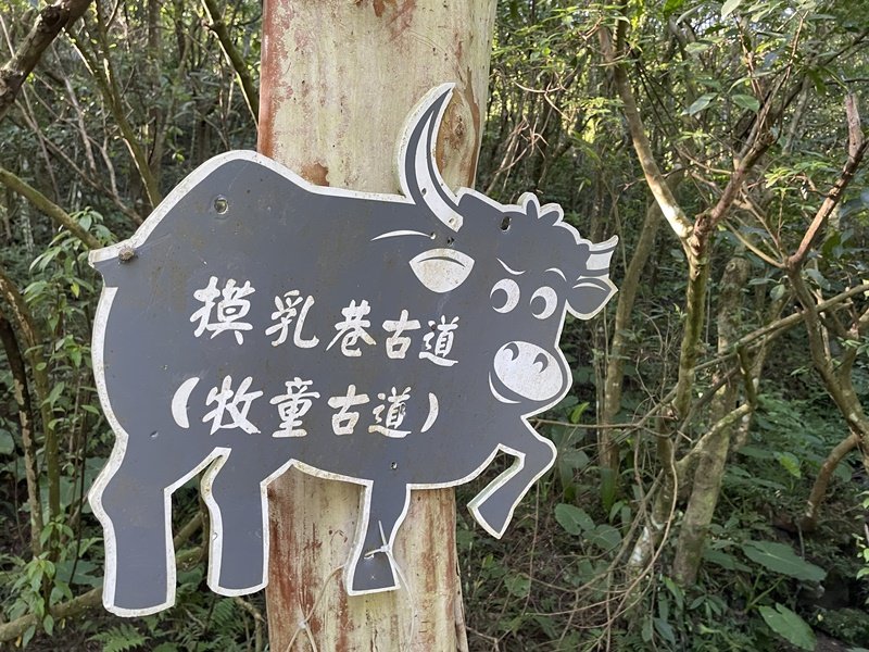 月扇湖大岩壁封面圖