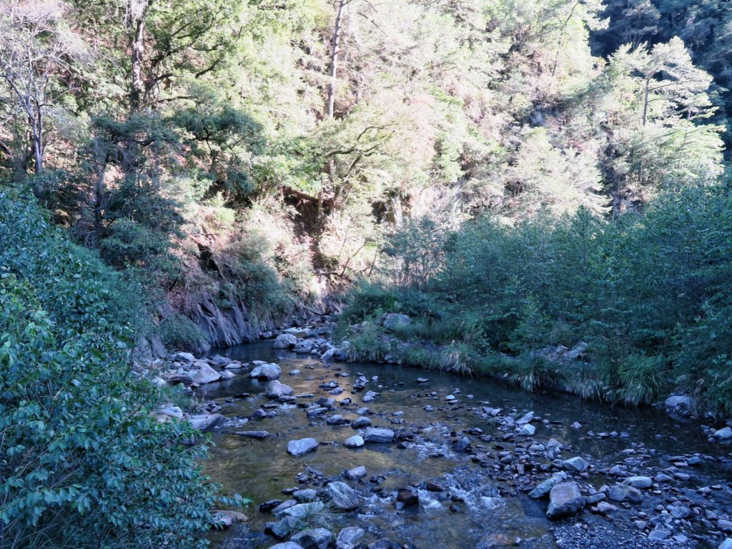 大霸尖山 伊澤山 加利山_1514855