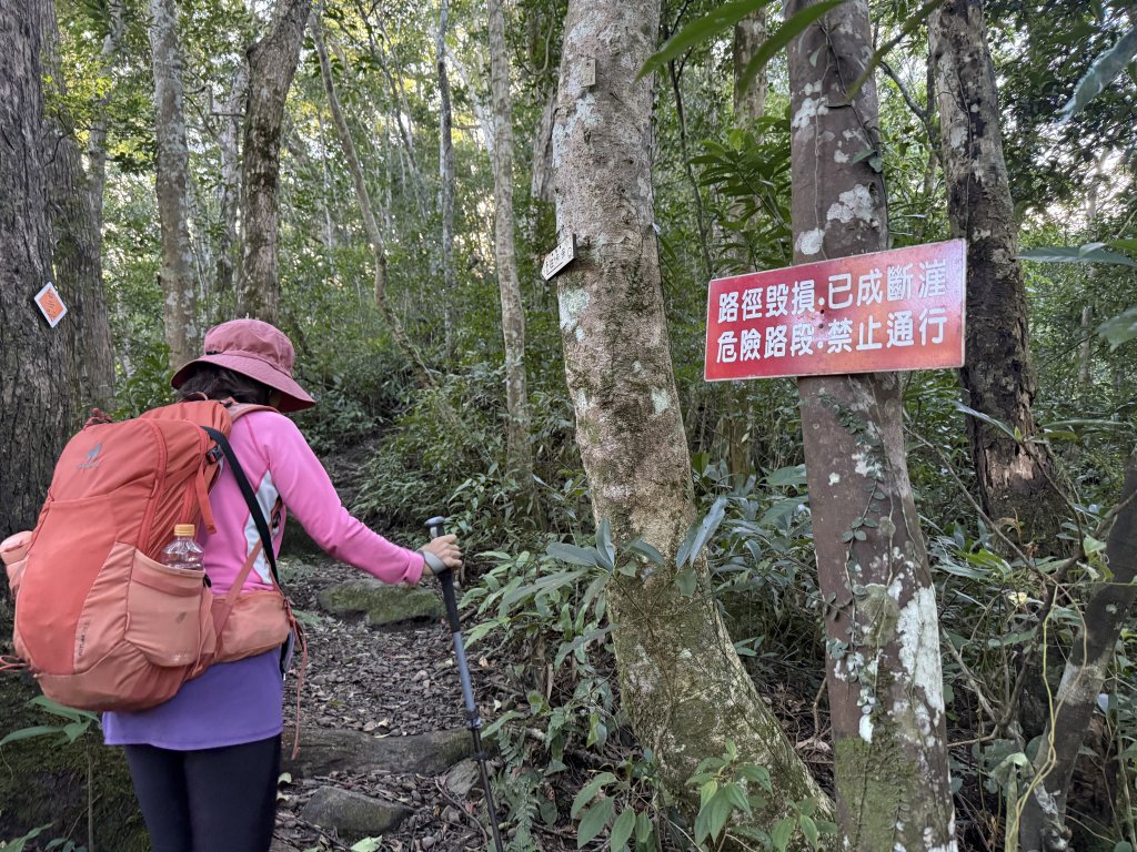 山毛櫸掉光光的 卡保逐鹿O繞 20251115_2937449