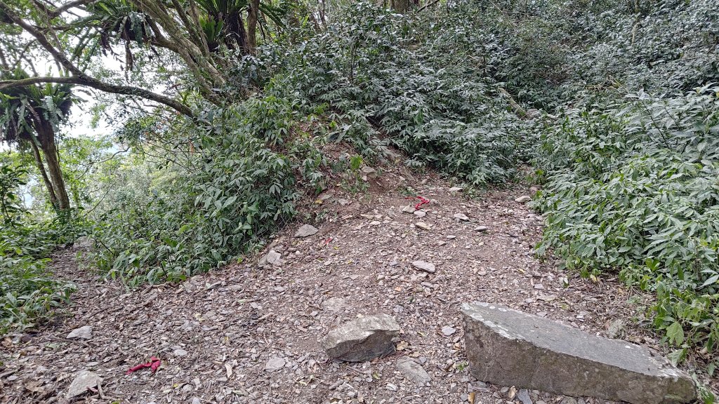 久保山、南久保山_2714437