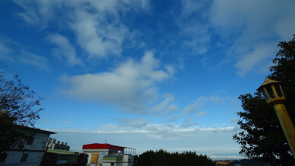 20260125 陽明山前後山健行(無極天元宮~山仔頂步道.向天池.向天山.面天山.二子坪)_2997927