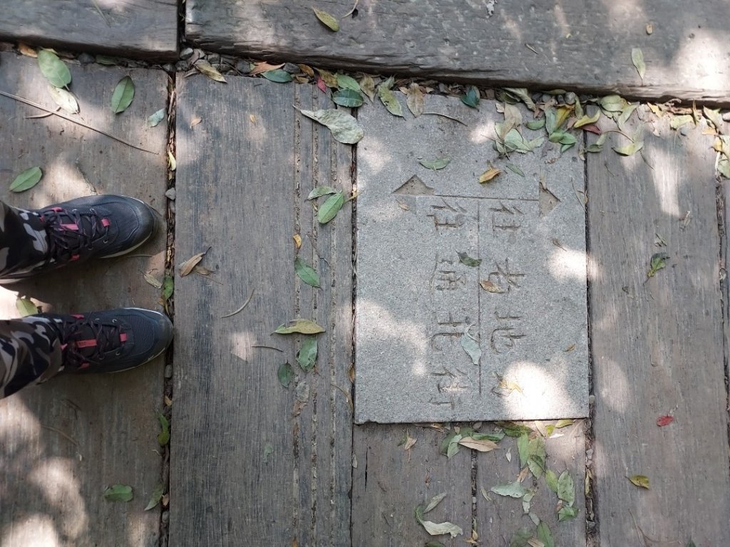 大縱走第五段：劍潭～碧山巖_1742523