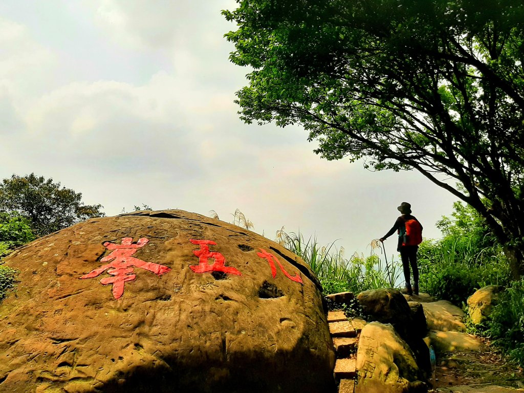 臺北大縱走6｜四月天驚見五月雪...環繞101走不停封面圖