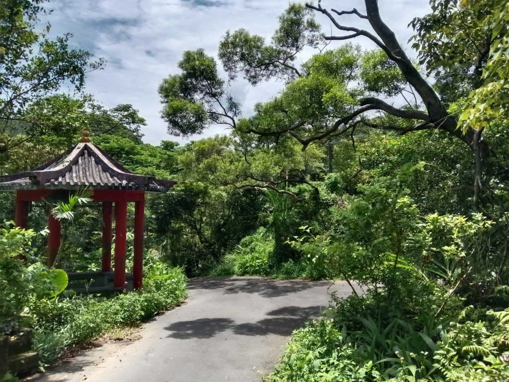 瑞芳區長青早起會觀景+碧峰岩步道_2854044