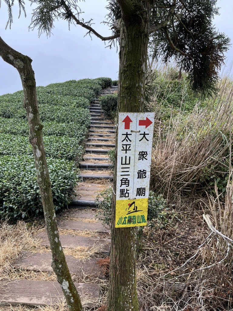 雲嘉五連峰健行_2679898