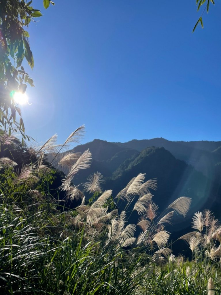 雙十霞喀羅_1484548