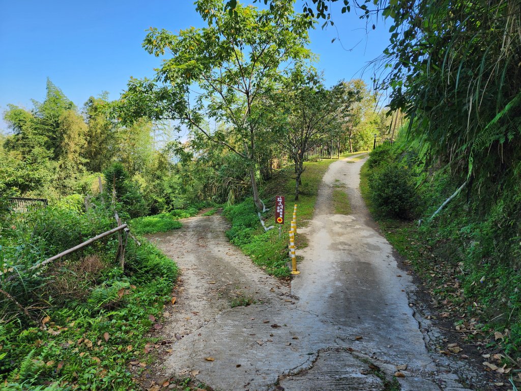 20240804鬼澤山、梅山、梅后蔓瀑布_2613412