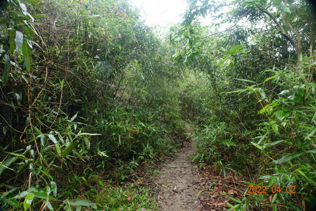 臺南 南化 刣牛湖山_1664320