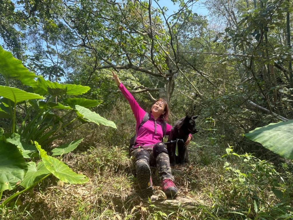 高雄美濃月光山_2734942