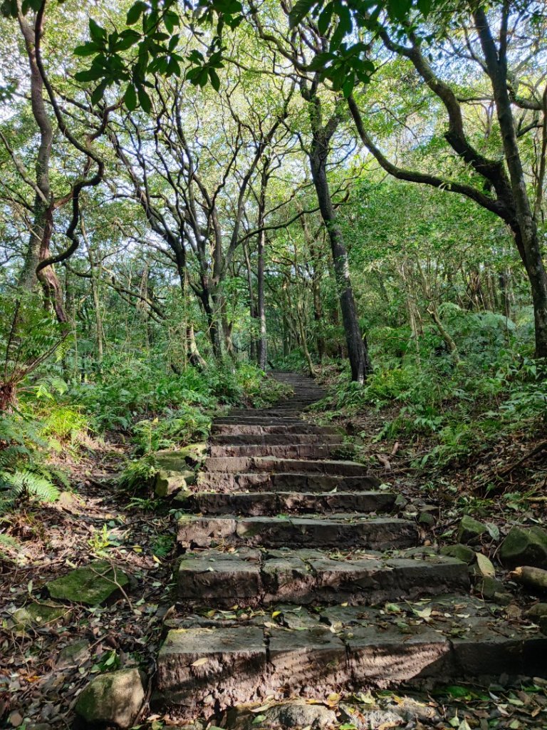 苗圃上七星下冷水坑_2647480