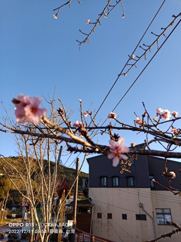 二延平步道封面圖