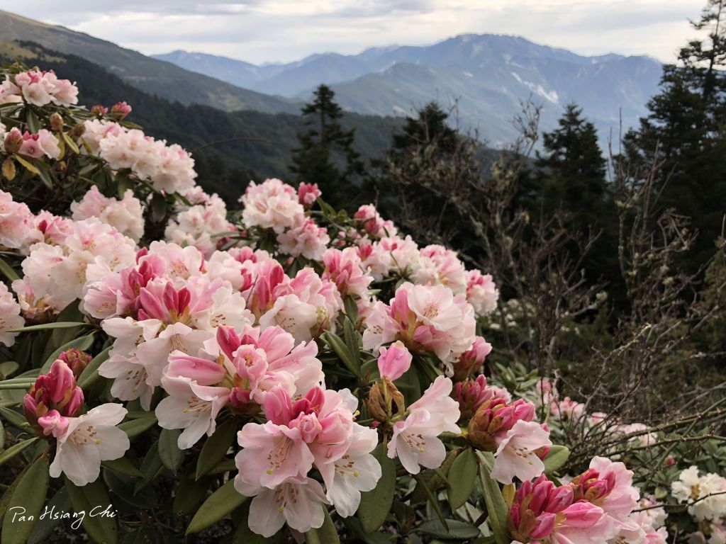 山的那一邊-奇萊主北_320197