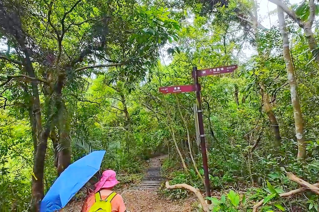 淡蘭古道中路百年山徑~暖東峽谷大環步道_2846409
