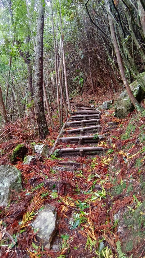 大霸群峰（大霸尖山、小霸尖山、加利山、伊澤山）_1490556
