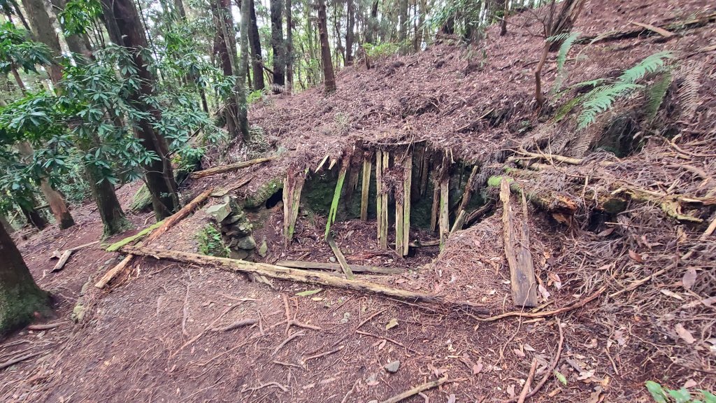 馬崙山_1219326