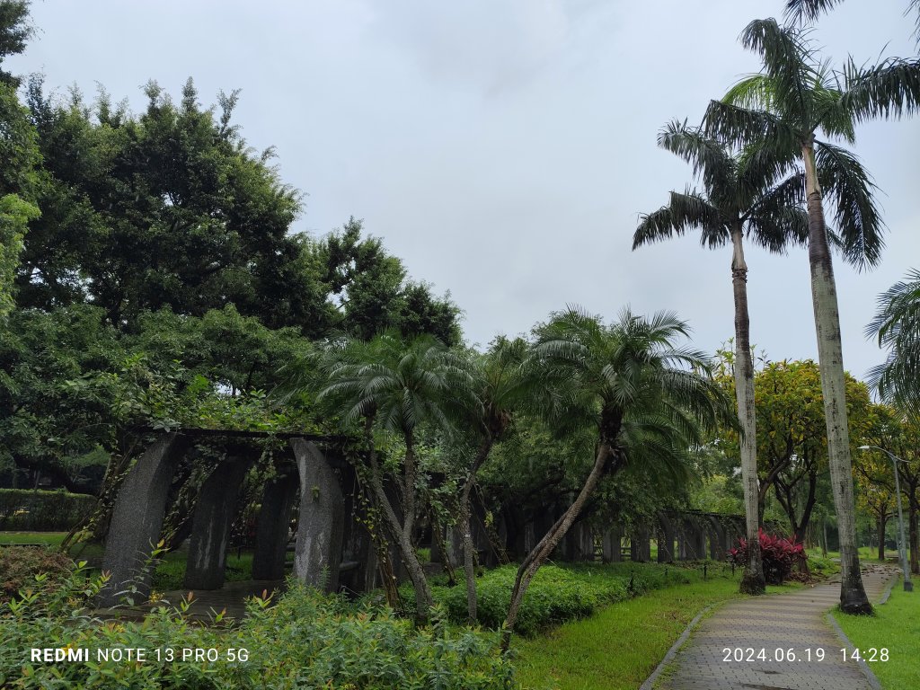 大安森林公園、安湖三號公園【走路趣尋寶，全臺齊步走】_2530693