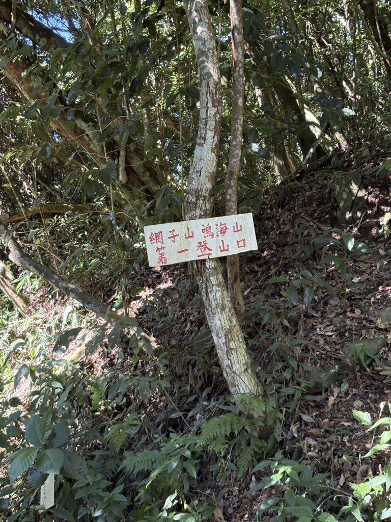 20251116鳴海山、網子山登山步道_2938344