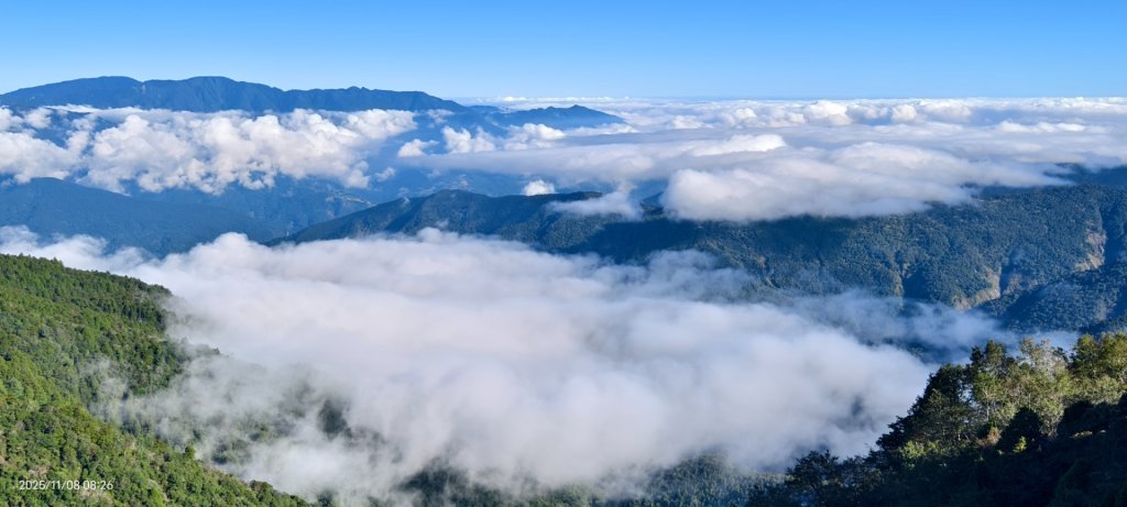 #太平山 #望洋山 #觀雲步道 #日出 #雲海 11/8_2931191