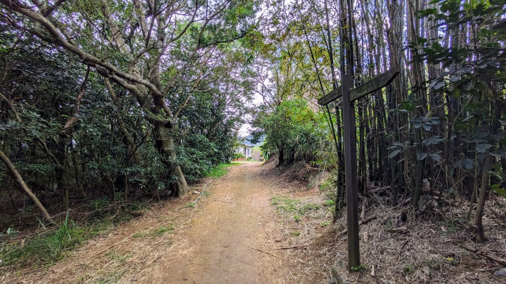 天元宮,楓樹湖,北新庄,淡水老街_2430286