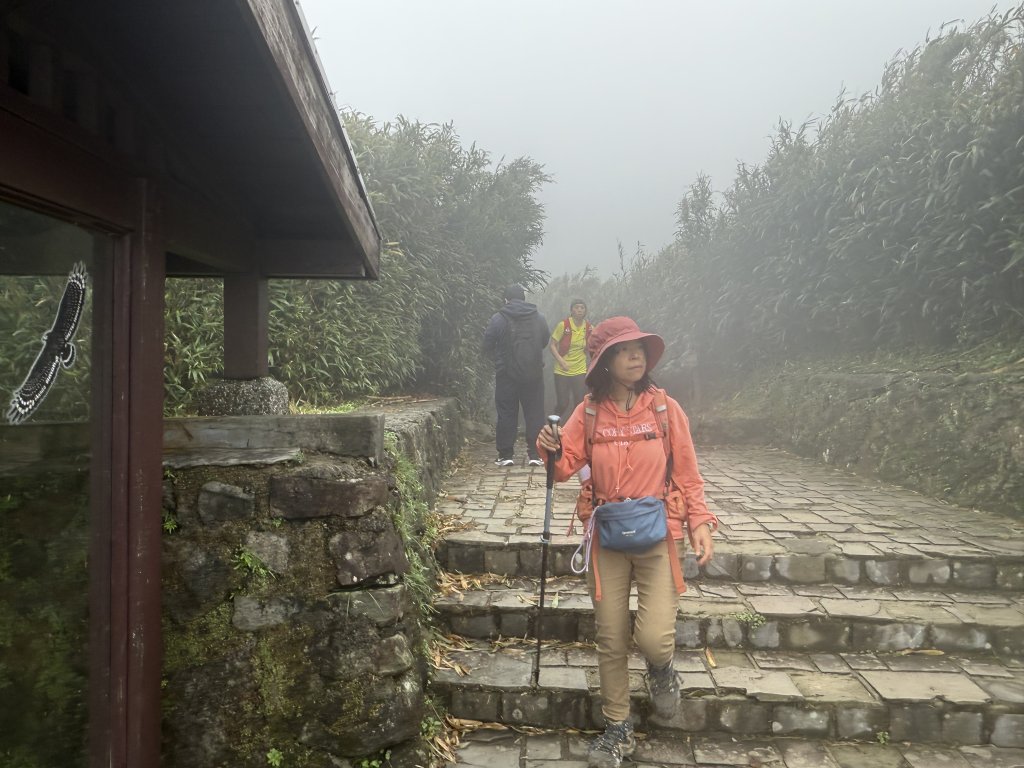 七星山 冷水坑上小油坑下環七星山人車分道O繞 20251108_2934900