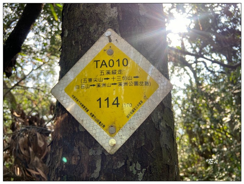 草嶺山、白石山、頭寮山 六連峰 O型路線_2798685