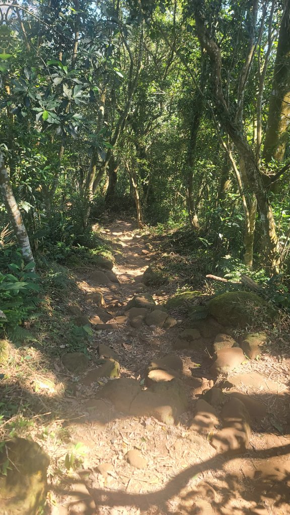 2026-0114溪州山小百岳_2984886