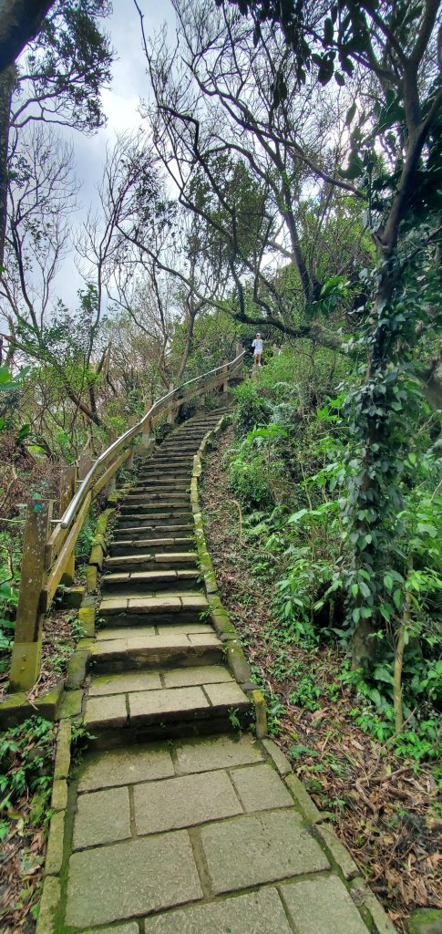 2024-11-23臺北大縱走第六段：中華科技大學至捷運麟光站_2653474