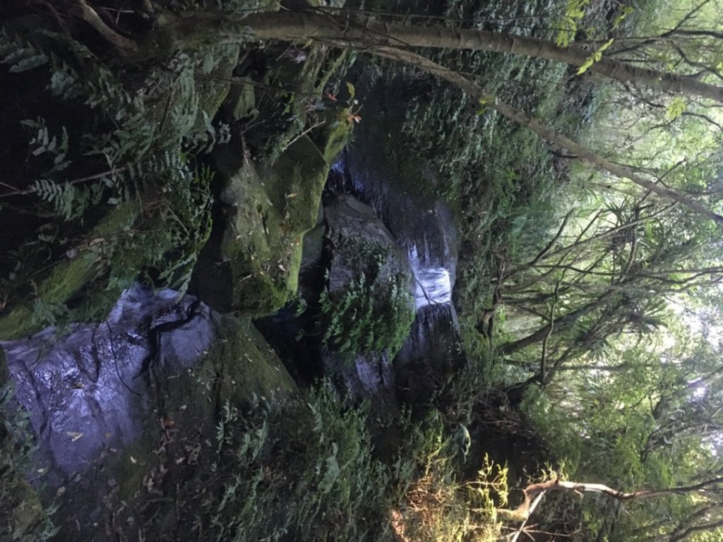 六寮崙山、雞罩山、白雞山8字走_2371060