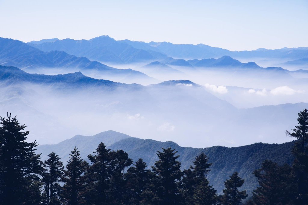 白姑大山單攻封面圖